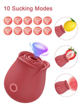 VelvetRose Suction Vibrator